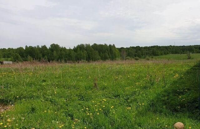 земля городской округ Сергиево-Посадский 80 км, д. Филипповское, Дмитровское шоссе, Реммаш фото 6