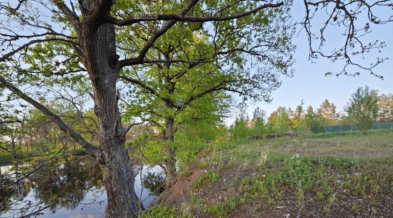 земля р-н Новгородский д Чайка Борковское с пос фото 2