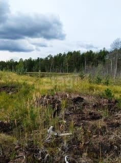 земля г Нижневартовск дачное некоммерческое товарищество Монастырский двор, городской округ Нижневартовск фото 1