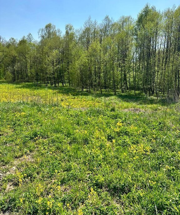 земля городской округ Серпухов д Акулово фото 22