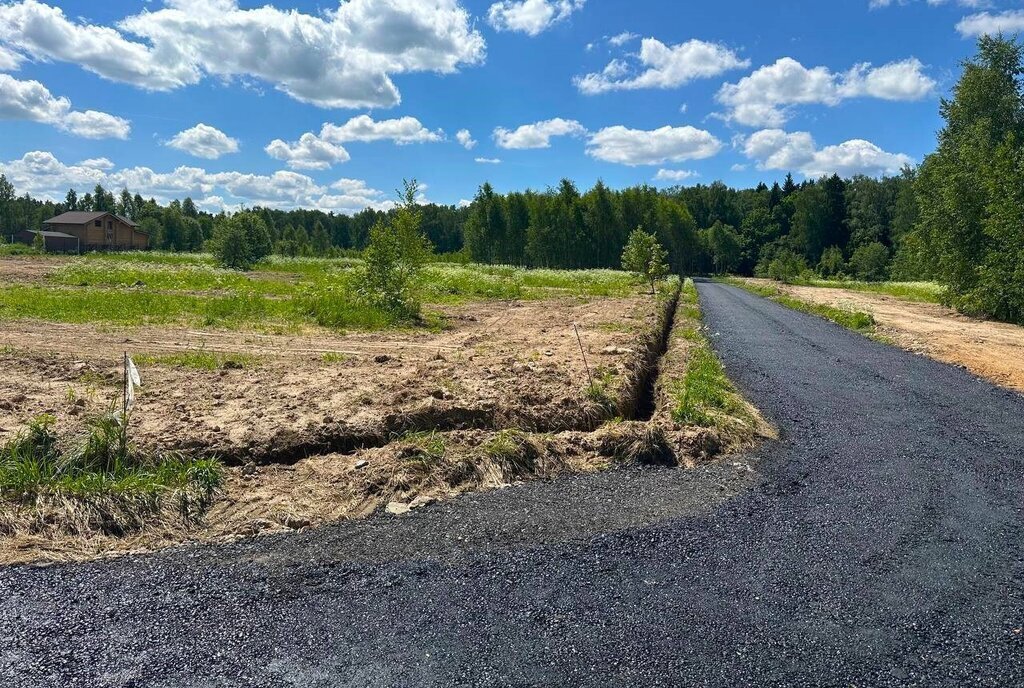 земля городской округ Истра д Сафонтьево фото 19