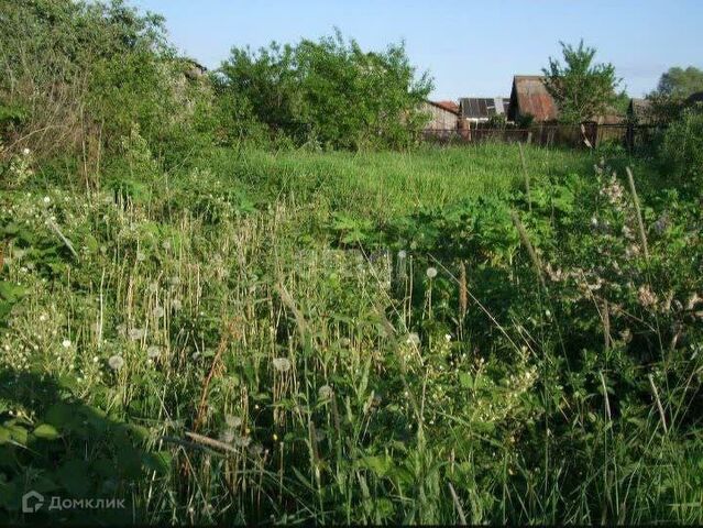 с Сычево ул Пролетарская фото