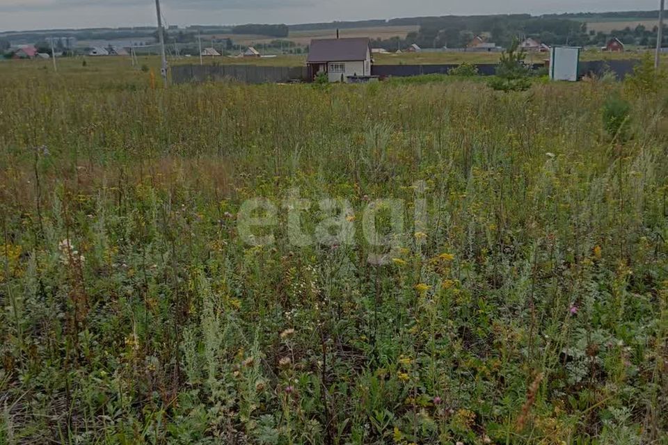 земля р-н Чишминский село Алкино-2 фото 1