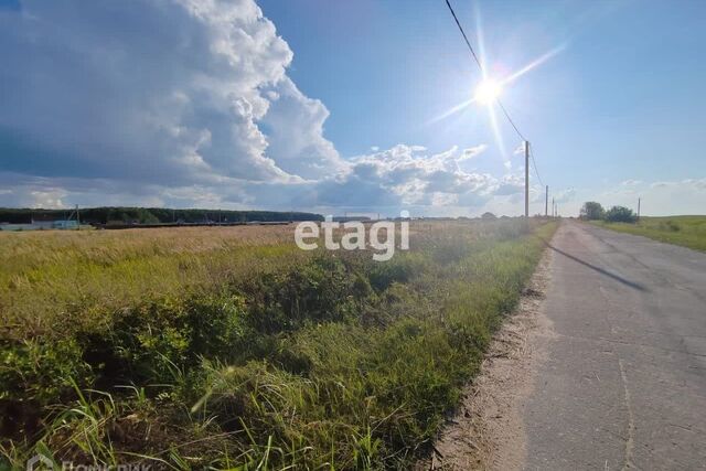 земля село Бабаево фото