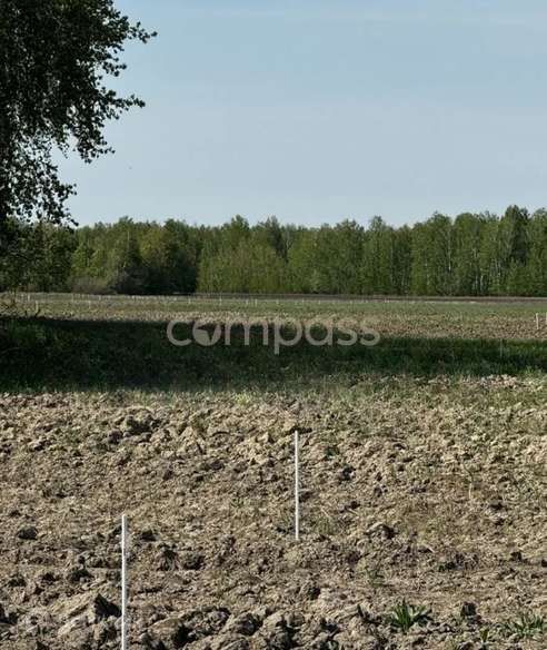 земля р-н Тюменский с Горьковка ул Совхозная фото 1