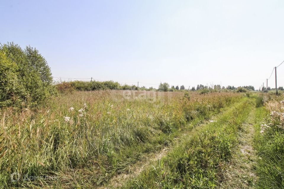 земля г Тюмень снт Поле чудес-2 ул Цветочная городской округ Тюмень фото 6