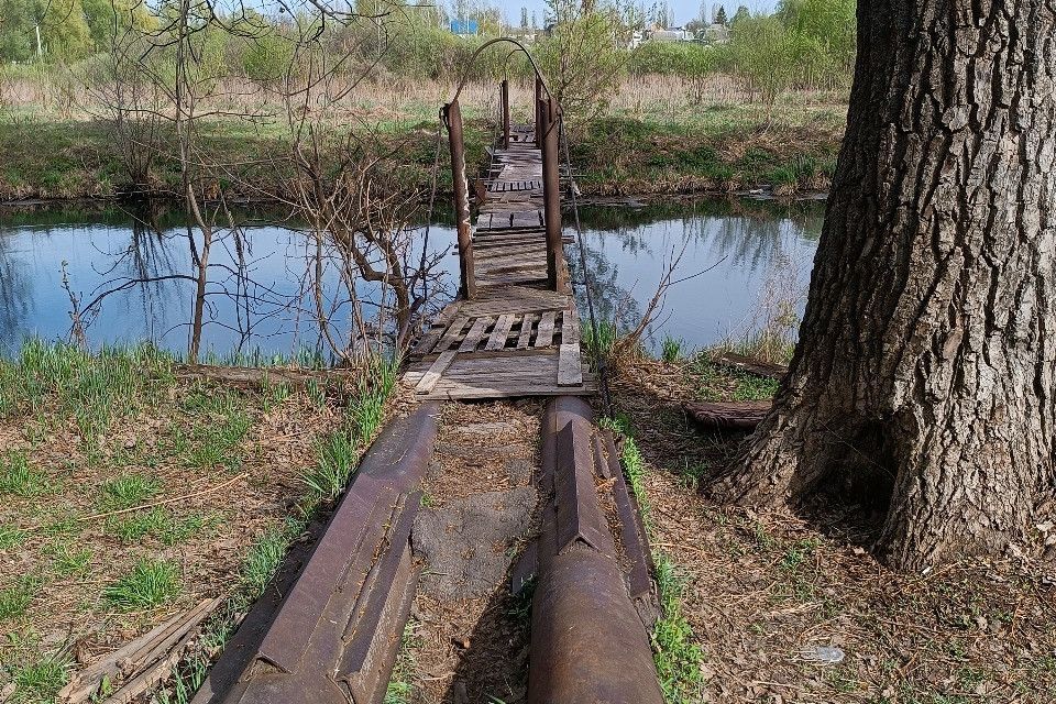 земля г Воронеж р-н Левобережный городской округ Воронеж, Левобережный фото 6