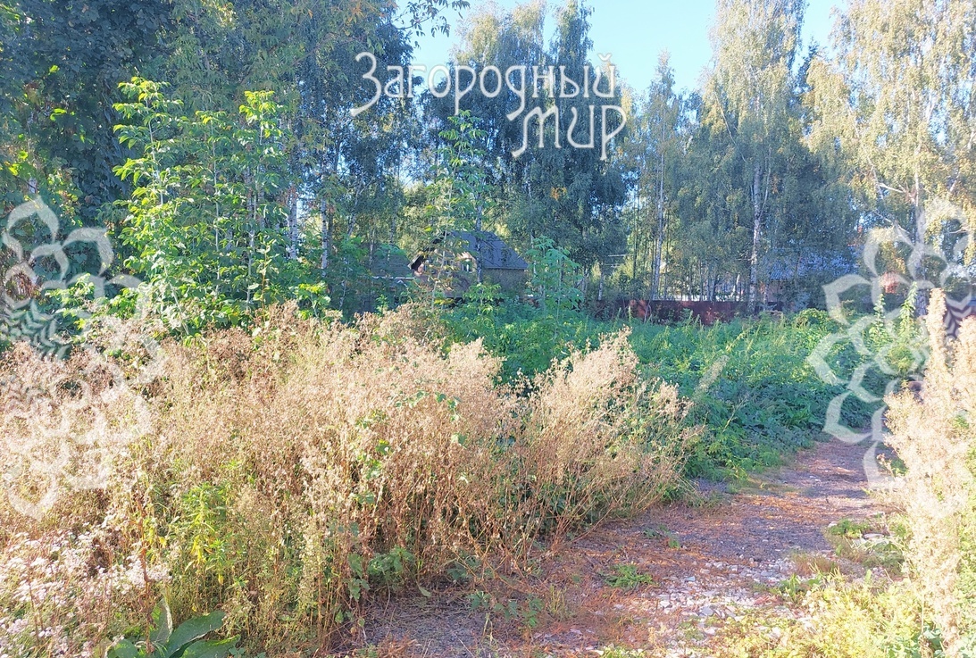 земля городской округ Богородский с Балобаново Горьковское, Карьерная фото 4