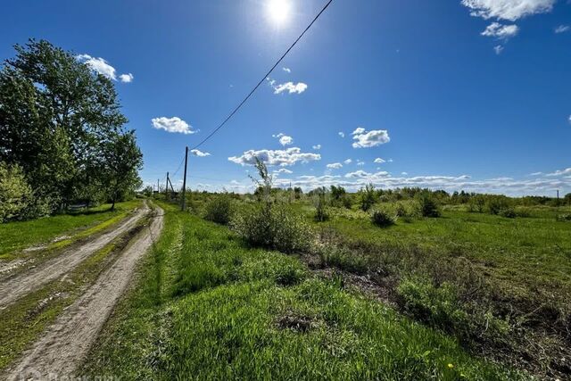 село Владимировка фото