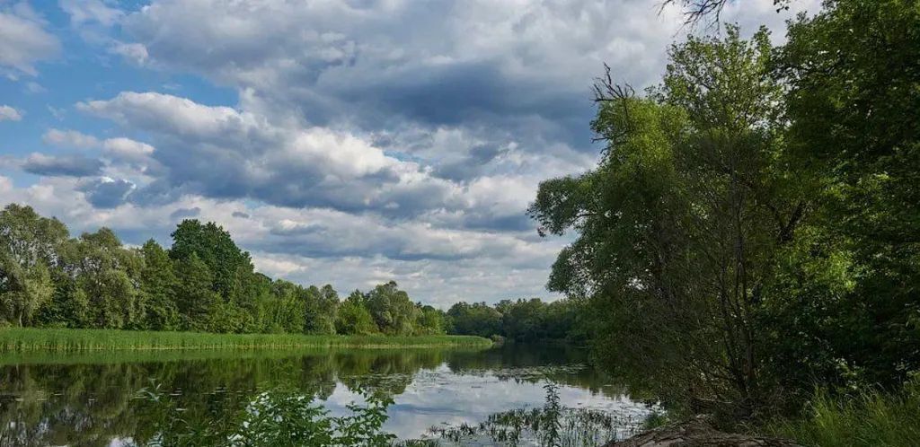 квартира р-н Рамонский рп Рамонь ул Победы 17е фото 17