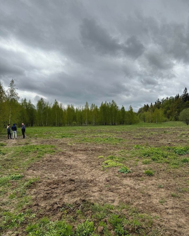 земля городской округ Дмитровский д Удино 31 км, Икша, Рогачёвское шоссе фото 19