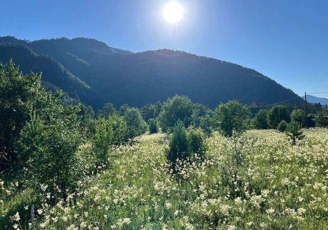 земля Горно-Алтайск фото