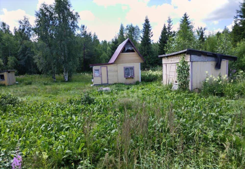 земля р-н Прионежский снт Онежец-4 Деревянское сельское поселение, 6-я ул, Петрозаводск фото 2