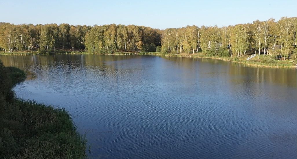 земля городской округ Богородский д Кутузово 9751 км, г. о. Домодедово, Новокаширское шоссе фото 9