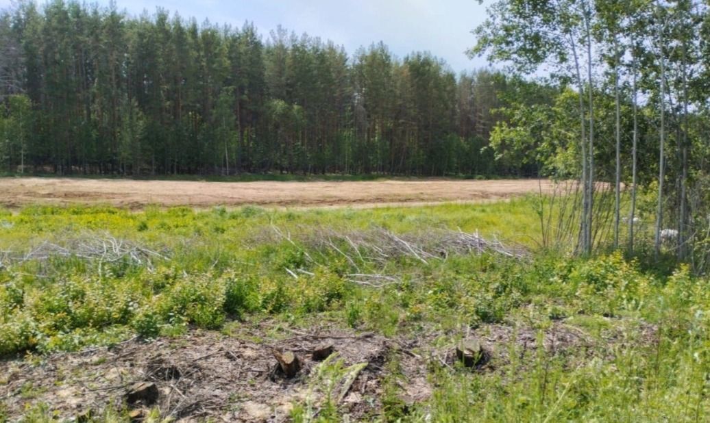 земля р-н Лаишевский снт Приволжское Нармонское сельское поселение, Казань фото 5