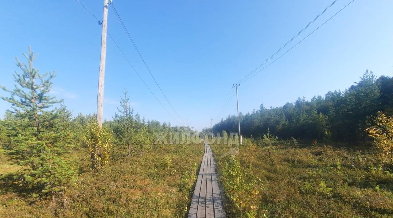 земля г Архангельск р-н Исакогорский округ Третья линия фото 13