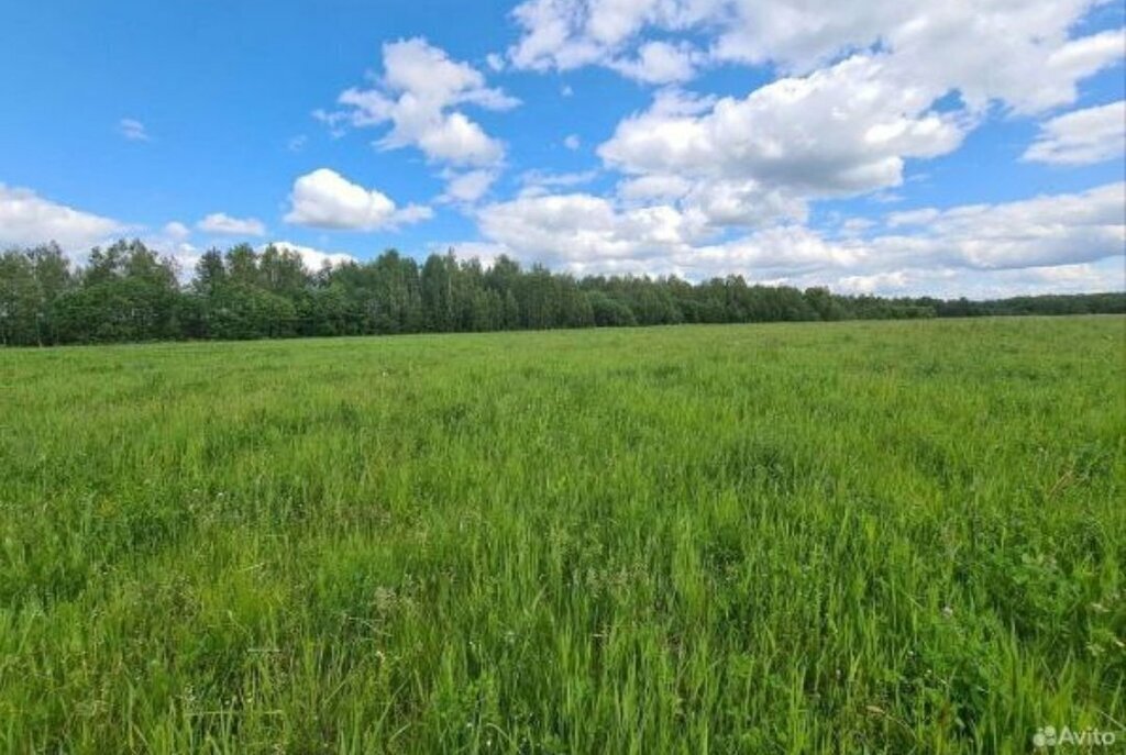 земля городской округ Можайский д Красный Стан 16 фото 7