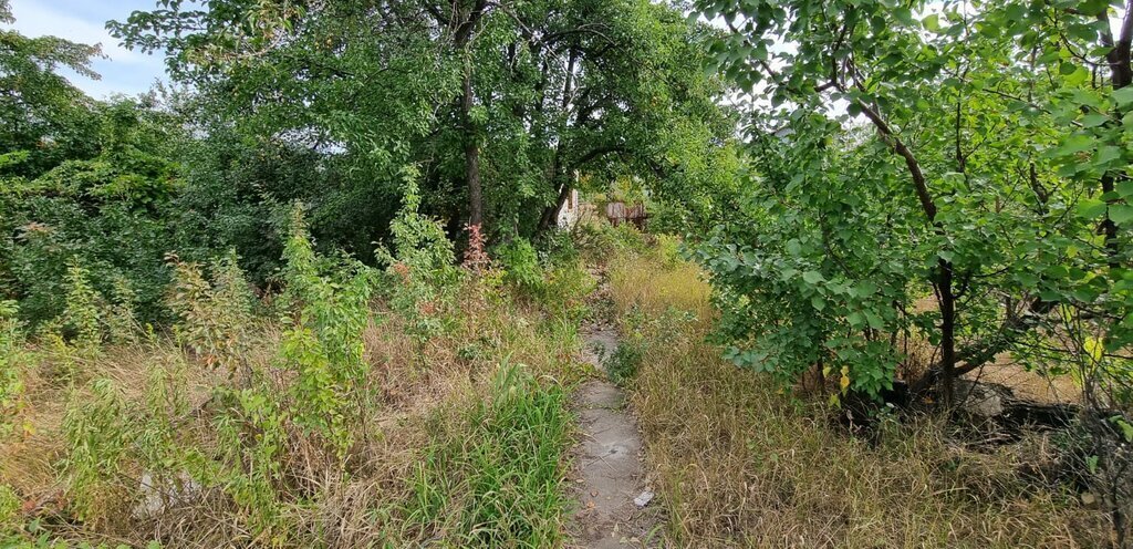 земля г Волгоград снт Родничок ул Абрикосовая Городищенское городское поселение фото 7