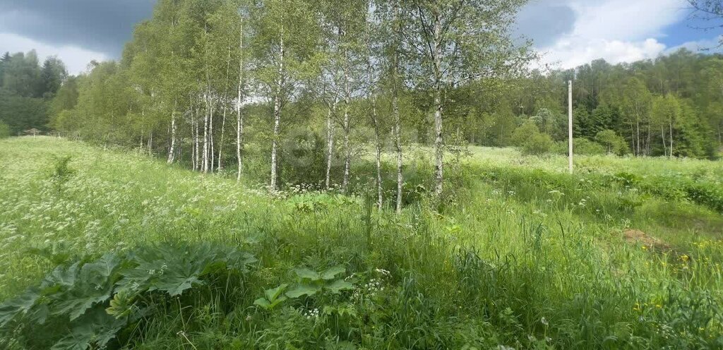 земля г Луховицы снт Звезда Волоколамский городской округ фото 9