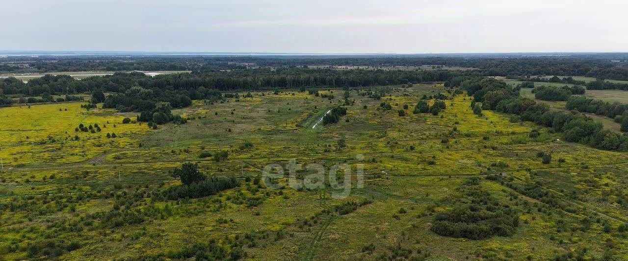 земля р-н Зеленоградский п Холмогоровка Зеленоградский муниципальный округ фото 5