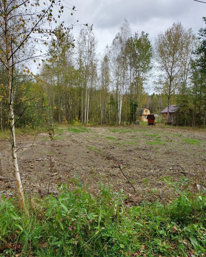 земля городской округ Егорьевск д Кукшево снт Лесная Поляна-6 79 км, 123, Егорьевск, Егорьевское шоссе фото 10