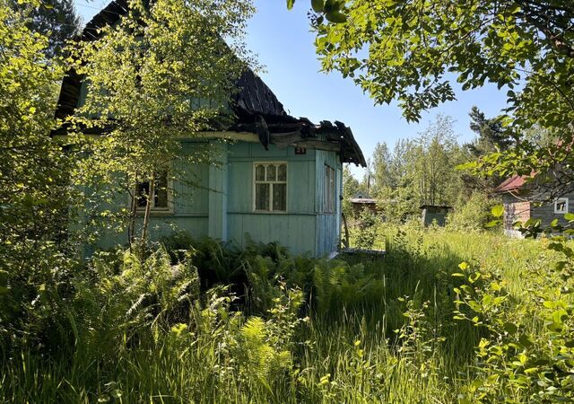 земля снт тер.Огонёк Тверь фото