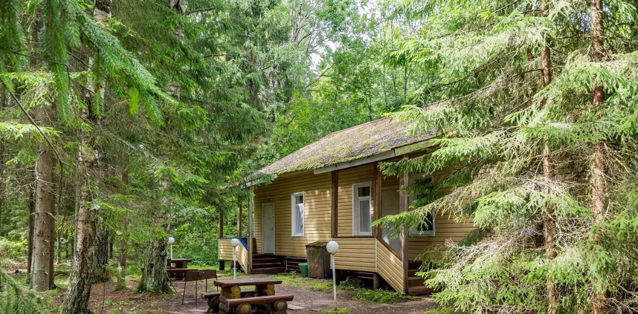 квартира р-н Лужский д Большие Крупели Толмачевское городское поселение фото 2