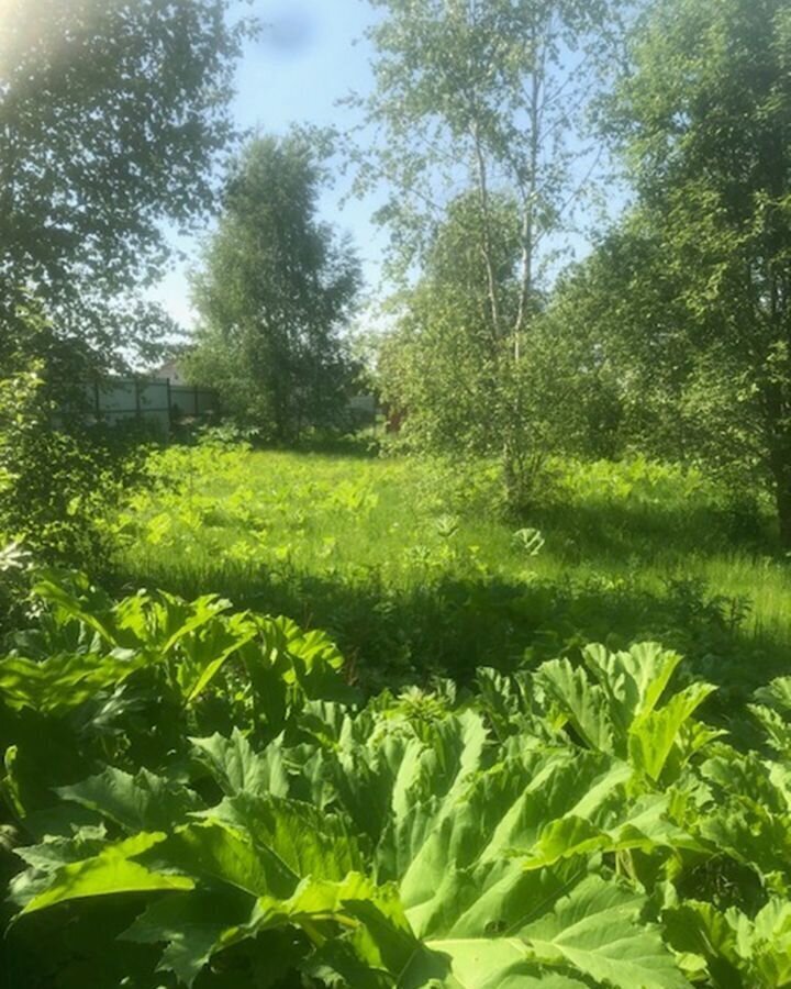 земля направление Курское (юг) ш Калужское 9748 км, коттеджный пос. Цветочный, 413, Москва, поселение Краснопахорское, Троицк, Троицкий административный округ фото 6