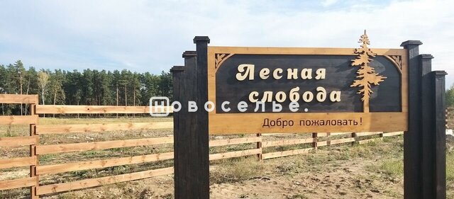 земля Заборьевское сельское поселение, Рязань фото