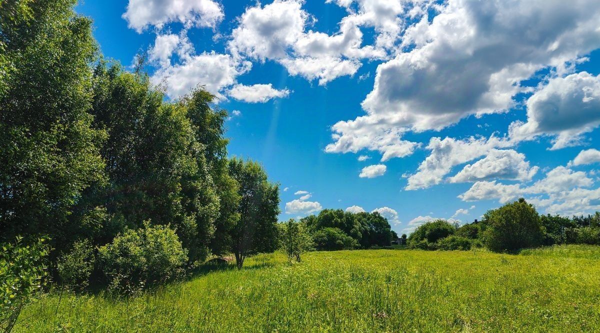 земля р-н Переславский с Фалелеево Переславль-Залесский городской округ фото 8