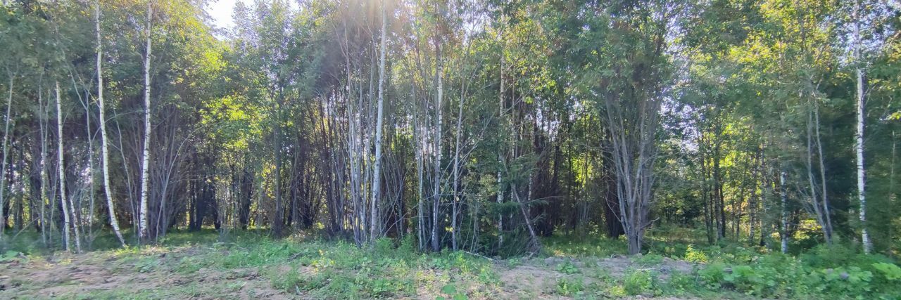 земля городской округ Сергиево-Посадский д Леоново фото 3