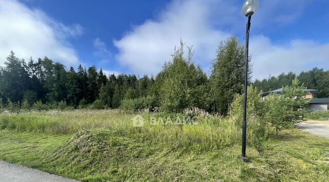 тер Лучистая Медвежье Озеро мкр фото