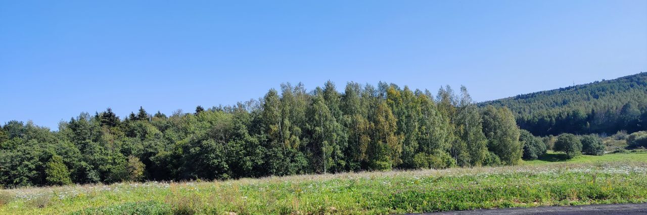 земля городской округ Сергиево-Посадский Шубино-Дачное тер фото 8