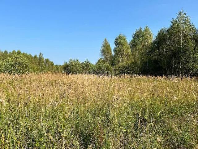 земля городской округ Серпухов д Лисенки фото