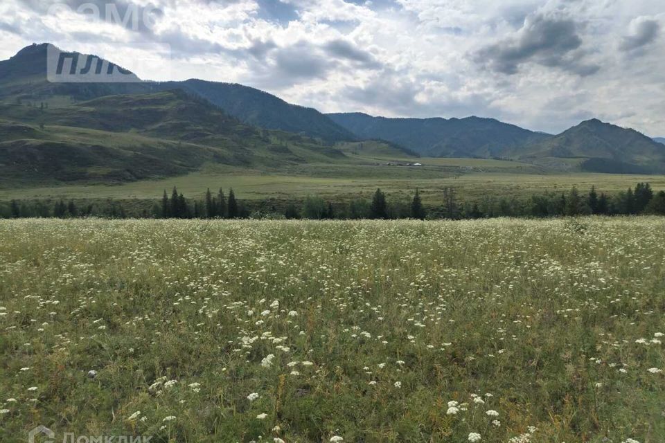 земля р-н Чемальский База отдыха Altay Sense фото 5