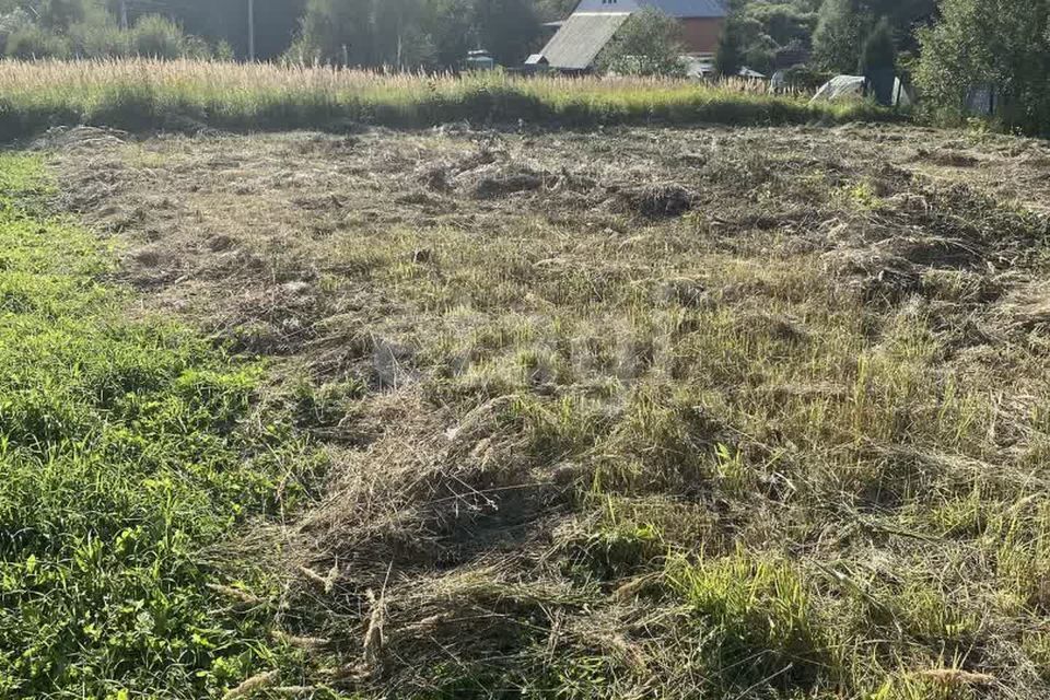 земля городской округ Чехов деревня Солодовка фото 9