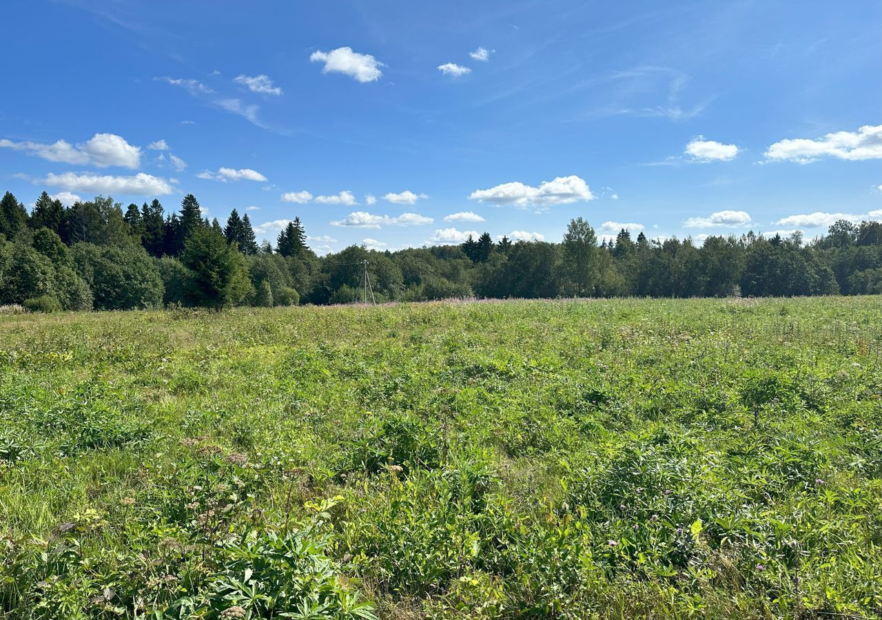 земля городской округ Клин д Шарино 9785 км, Новопетровское, Новорижское шоссе фото 37