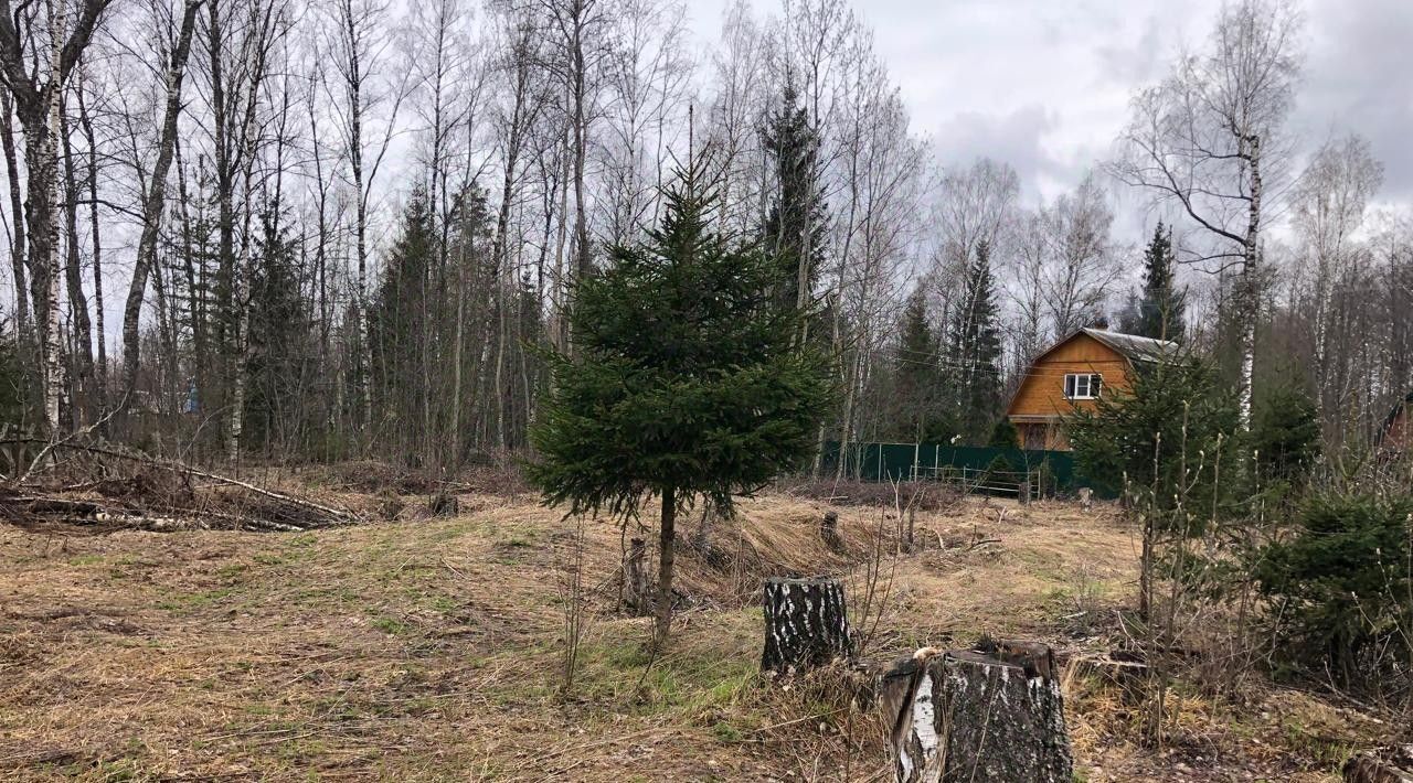 земля р-н Переславский снт Вашутино Переславль-Залесский городской округ фото 3