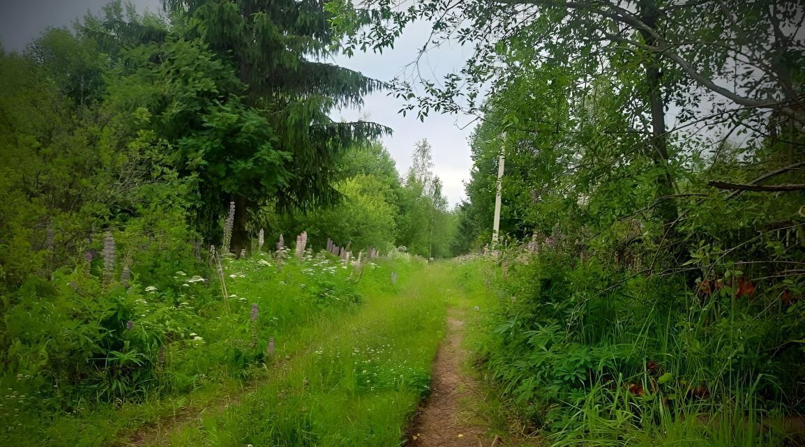 земля р-н Маловишерский д Пустая Вишерка Маловишерское городское поселение фото 4