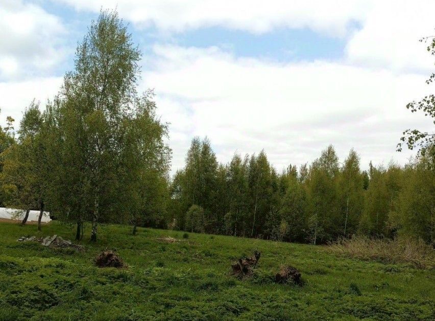 офис городской округ Дмитровский д Аревское фото 1