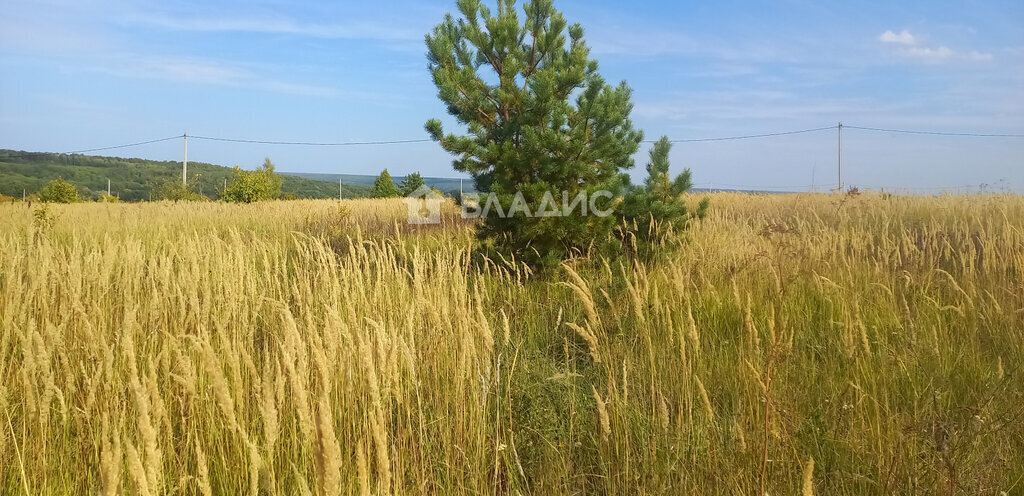 земля р-н Пензенский д Ключи ул Луговая 6 Алферьевский сельсовет фото 8