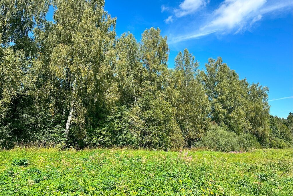 земля городской округ Клин д Вертково фото 14