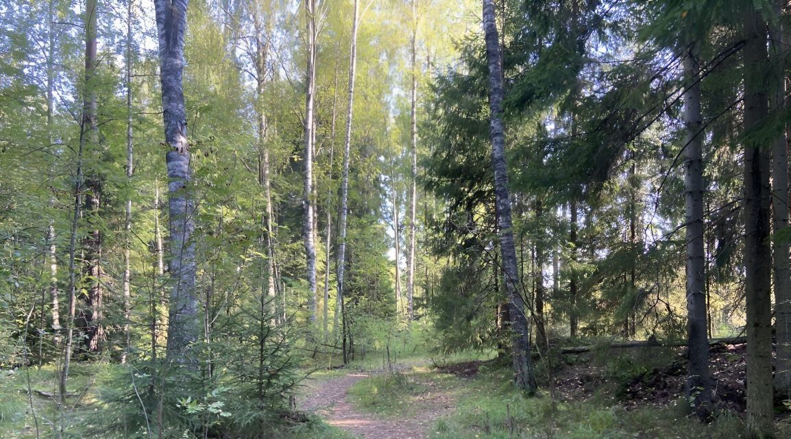 дом р-н Всеволожский Агалатовское с/пос, Коттеджный поселок Агалатово экопарк, 3 фото 3