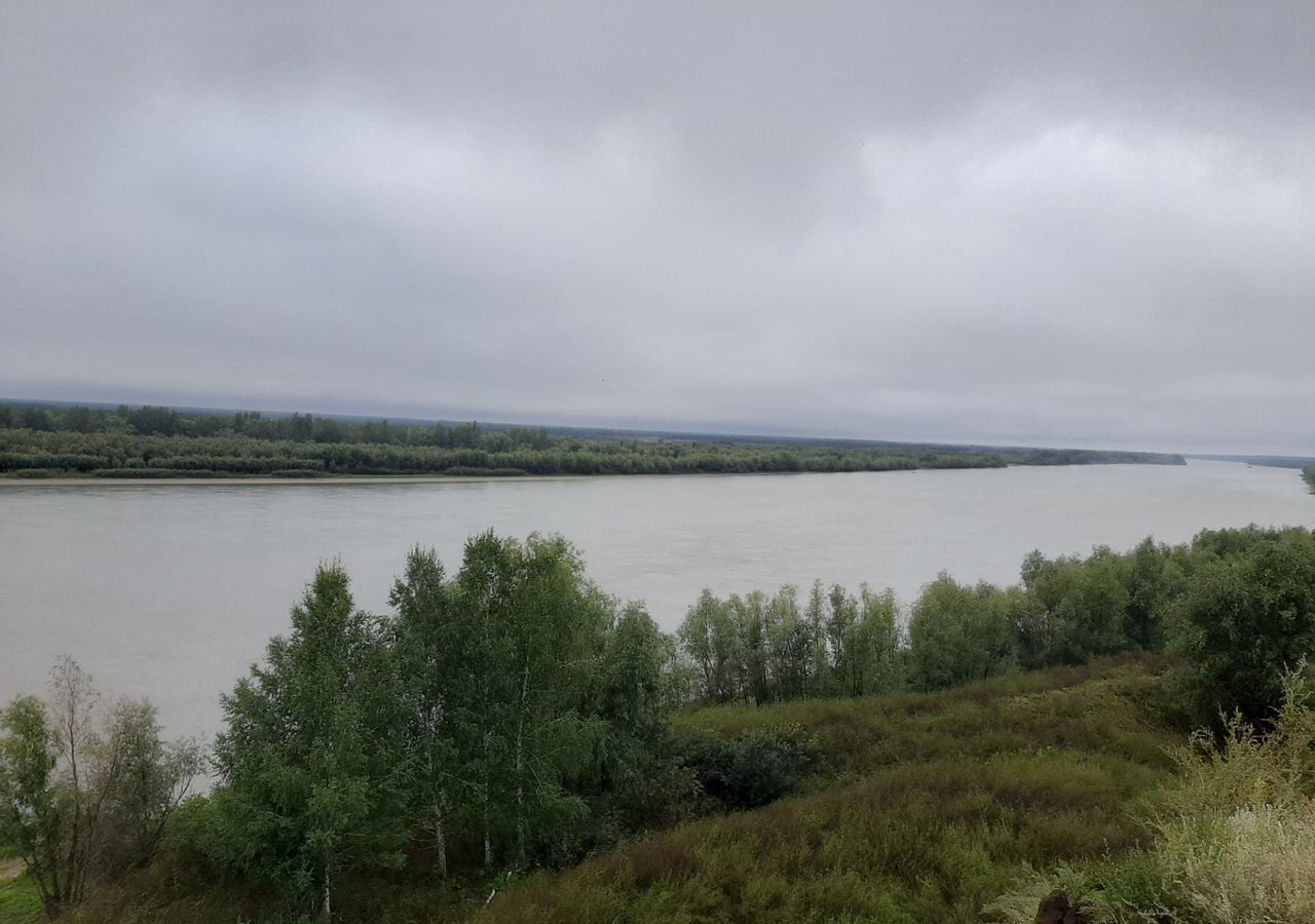 дом р-н Омский с Новотроицкое ул Набережная Красноярский тракт, 8 км, Новотроицкое сельское поселение, Красноярка фото 19