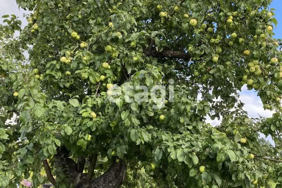 дом р-н Гатчинский д Большево ул Центральная 134а фото 10