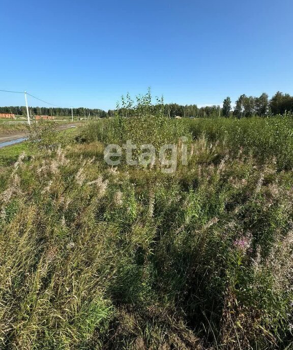 земля р-н Томский днп Слобода Вольная фото 2