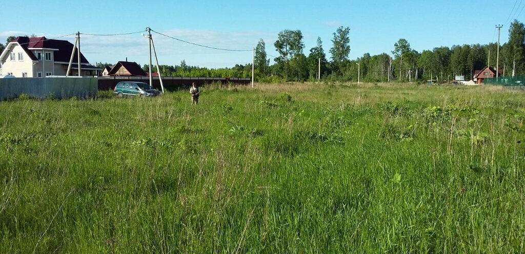 земля р-н Выборгский п Барышево Гончаровское сельское поселение фото 10