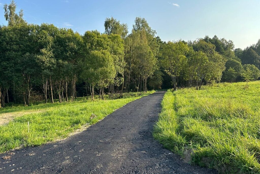 земля городской округ Серпухов д Петровское фото 8