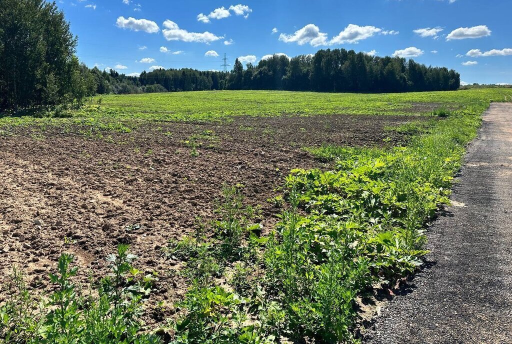 земля городской округ Солнечногорск д Загорье Зеленоград — Крюково фото 24