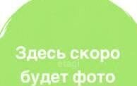 земля р-н Коченевский садовое некоммерческое товарищество Лесник, Новосибирск фото 4